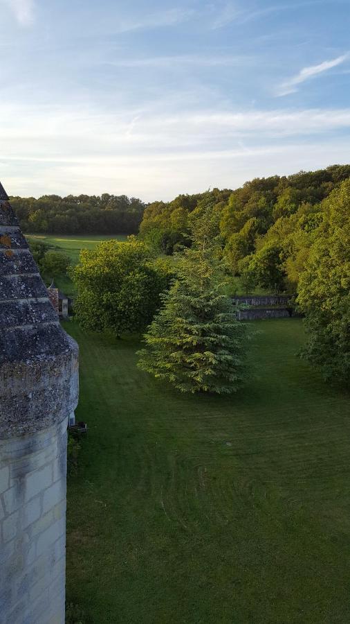 Le Petit-Pressigny Chateau De Re מראה חיצוני תמונה
