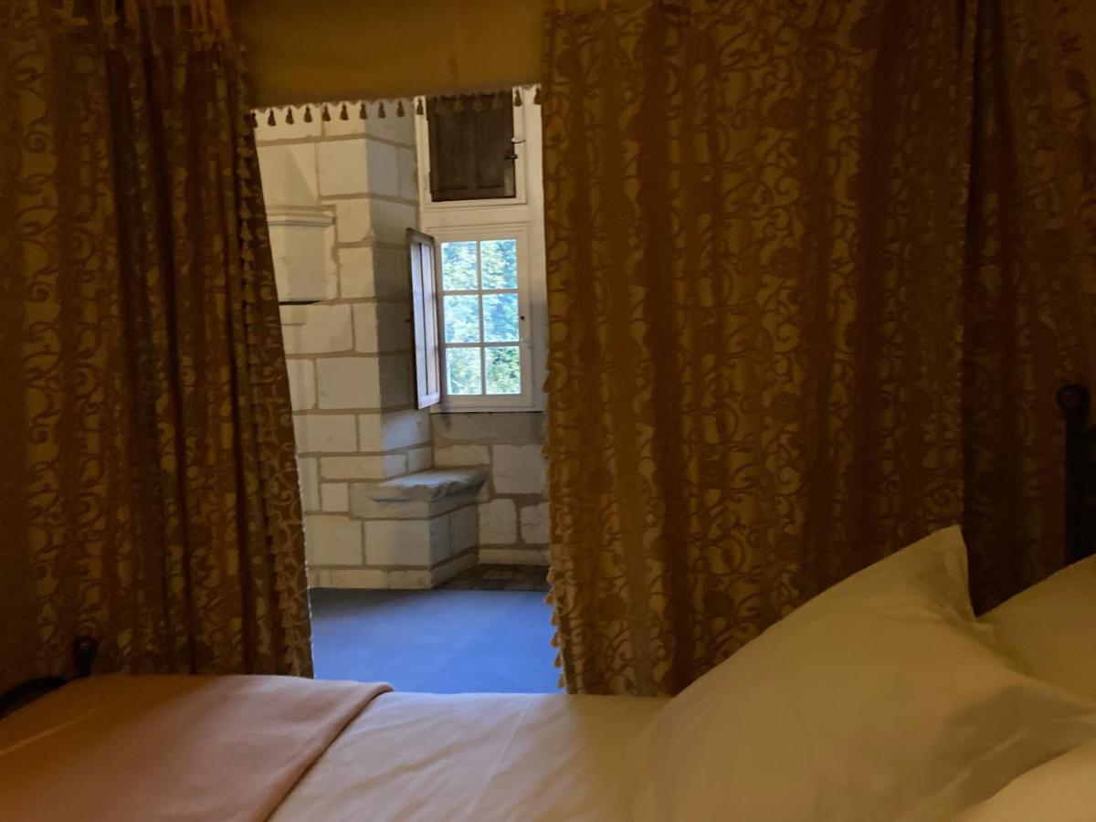 Le Petit-Pressigny Chateau De Re מראה חיצוני תמונה